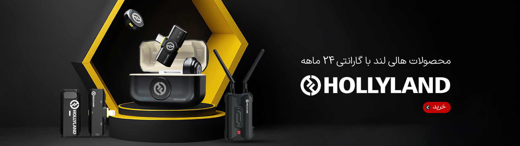 هالی لند ها